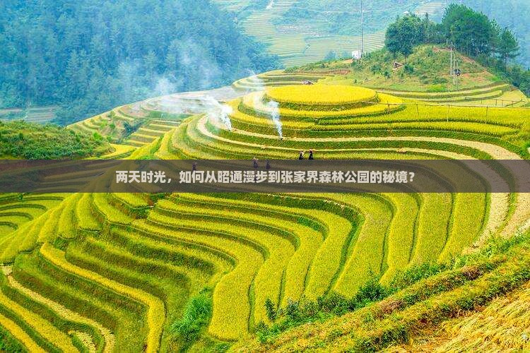 昭通到张家界森林公园二日游
