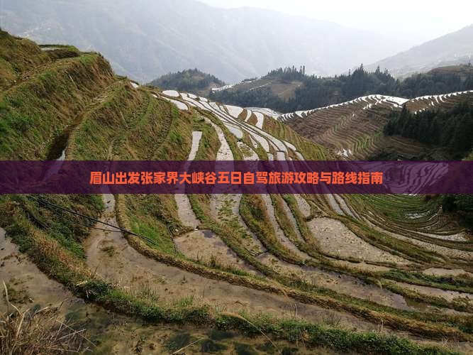 眉山到张家界大峡谷五日游
