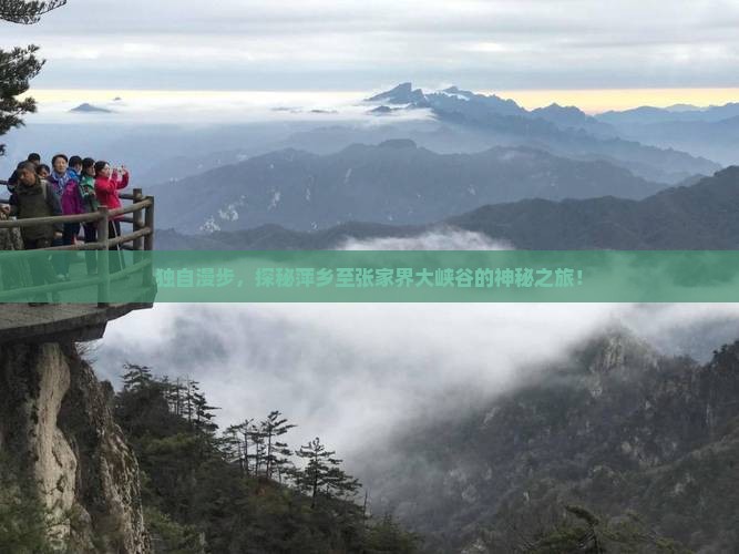 萍乡去张家界大峡谷个人游
