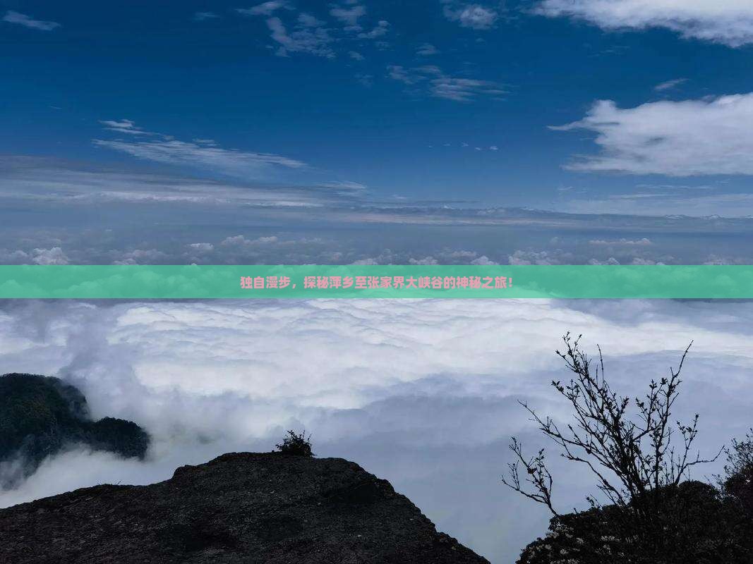 萍乡去张家界大峡谷个人游