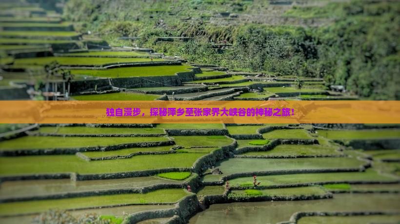 萍乡去张家界大峡谷个人游