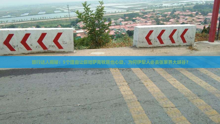 伊犁哈萨克到张家界大峡谷必去地