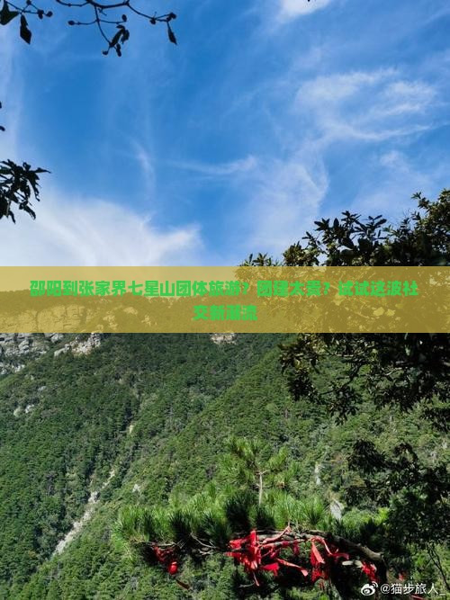 邵阳到张家界七星山团体旅游