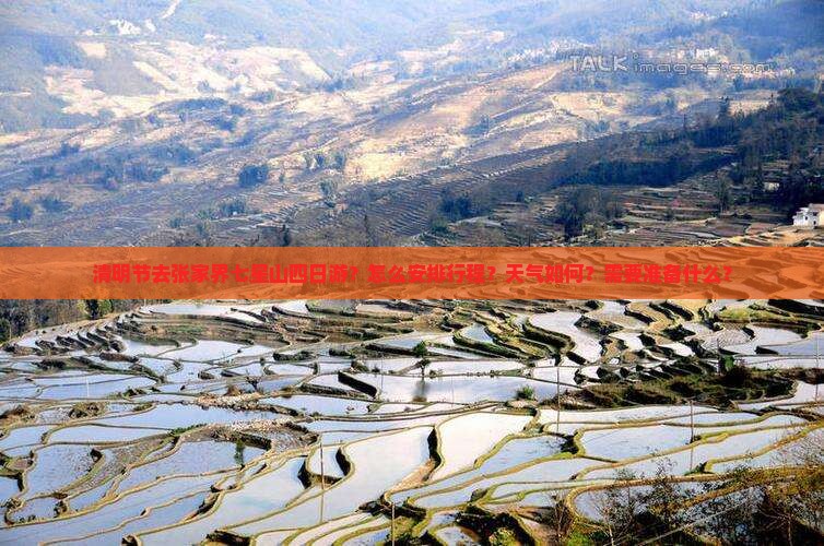 清明节到张家界七星山四日游