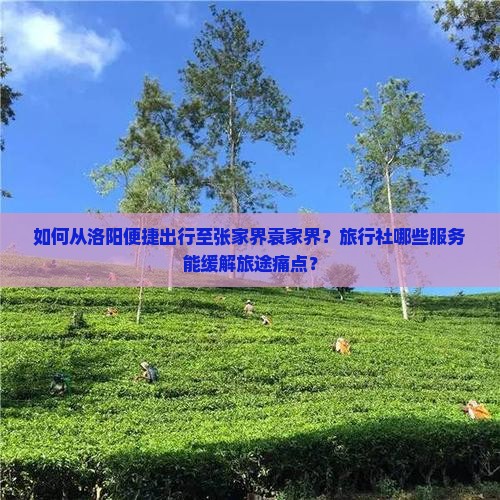 洛阳到张家界袁家界旅行社