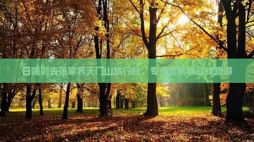 日喀则去张家界天门山旅行社