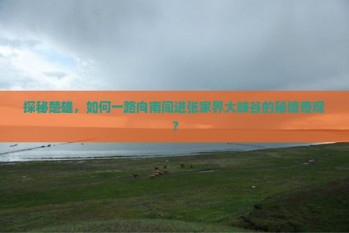 楚雄到张家界大峡谷攻略