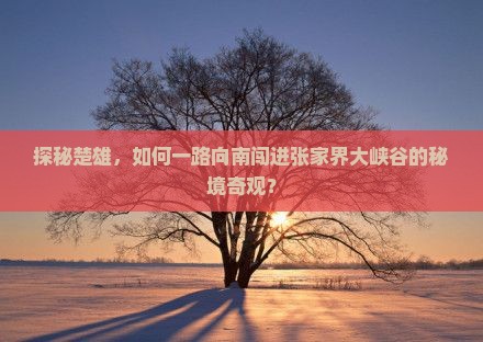 楚雄到张家界大峡谷攻略
