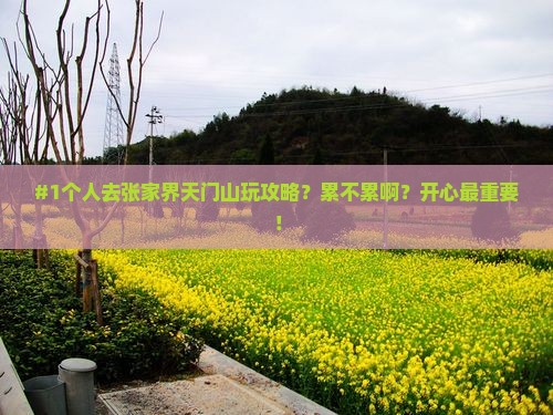 德阳到张家界天门山个人游