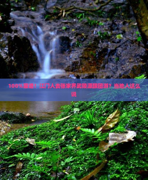 江门去张家界武陵源旅行社