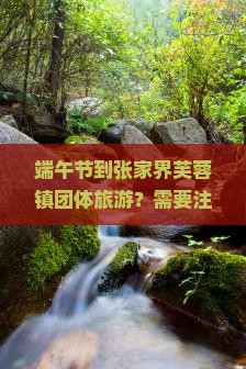 端午节到张家界芙蓉镇团体旅游