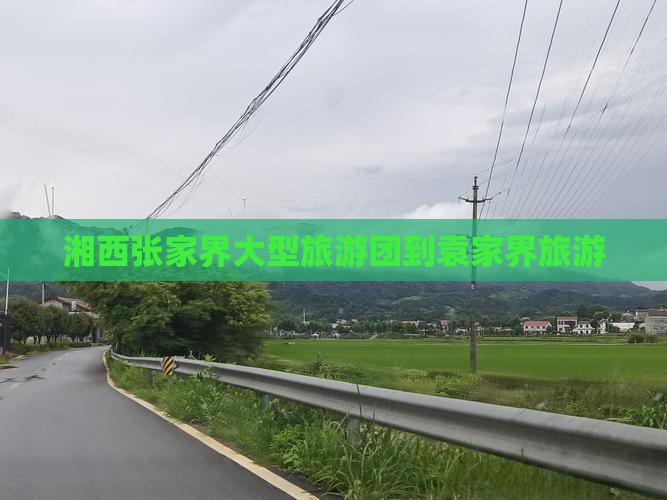 湘西到张家界袁家界大型旅游团