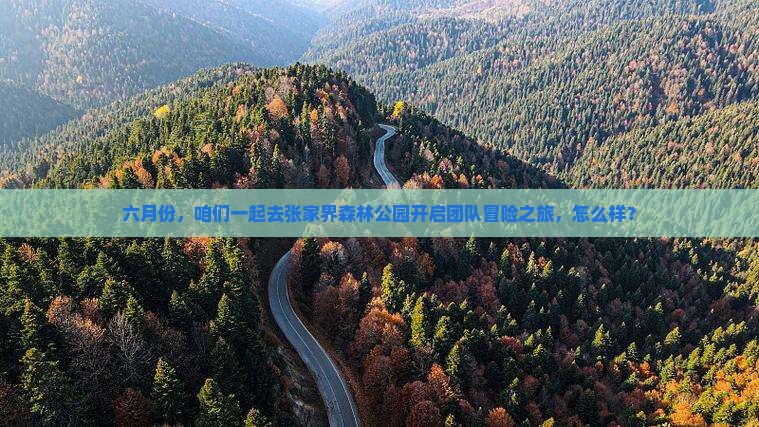 六月去张家界森林公园团体旅游