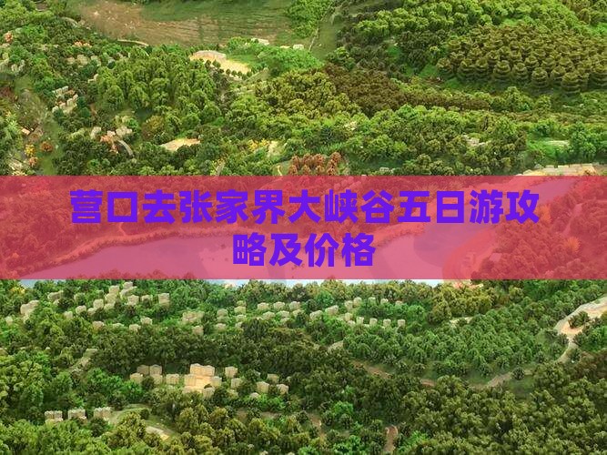 营口去张家界大峡谷五日游