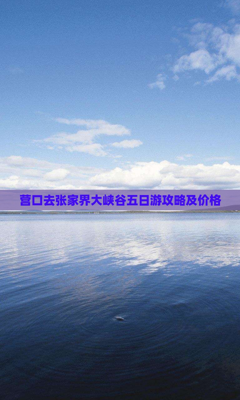 营口去张家界大峡谷五日游