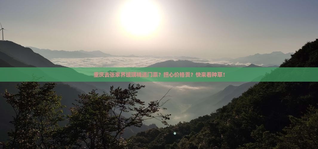 重庆去张家界玻璃栈道门票