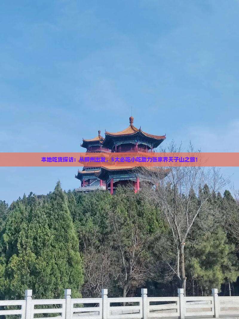 柳州去张家界天子山旅游小吃