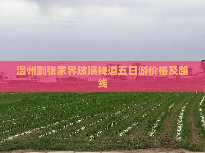 温州到张家界玻璃栈道五日游