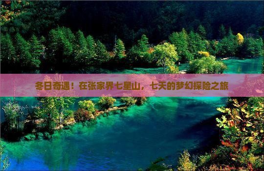 冬天到张家界七星山七日游