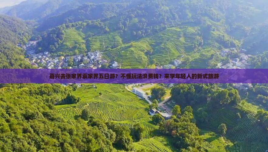 嘉兴去张家界袁家界五日游