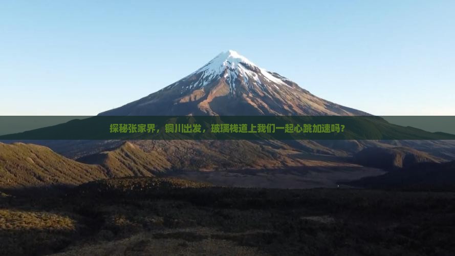 铜川去张家界玻璃栈道自由团
