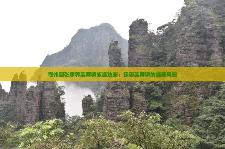 鄂州去张家界芙蓉镇个人游