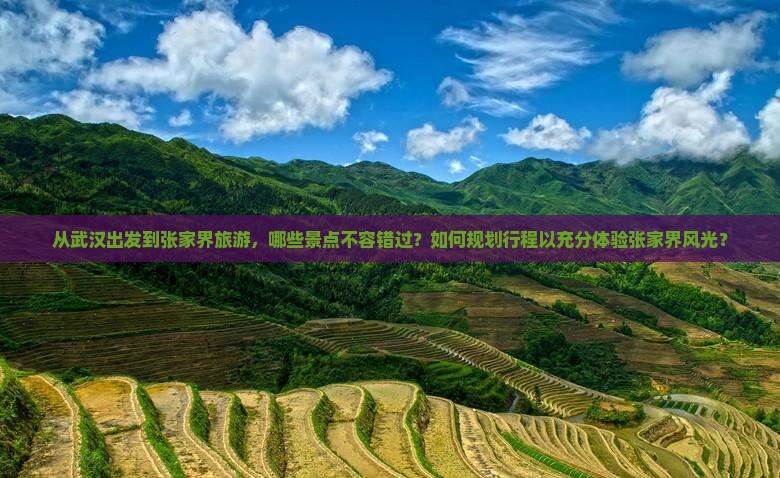 武汉去张家界哪里玩