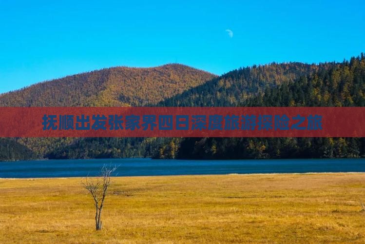 抚顺到张家界袁家界四日游