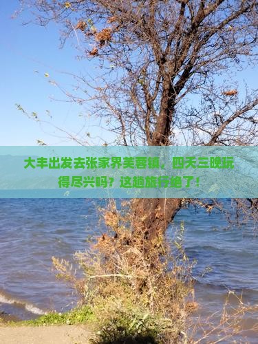大丰到张家界芙蓉镇四日游