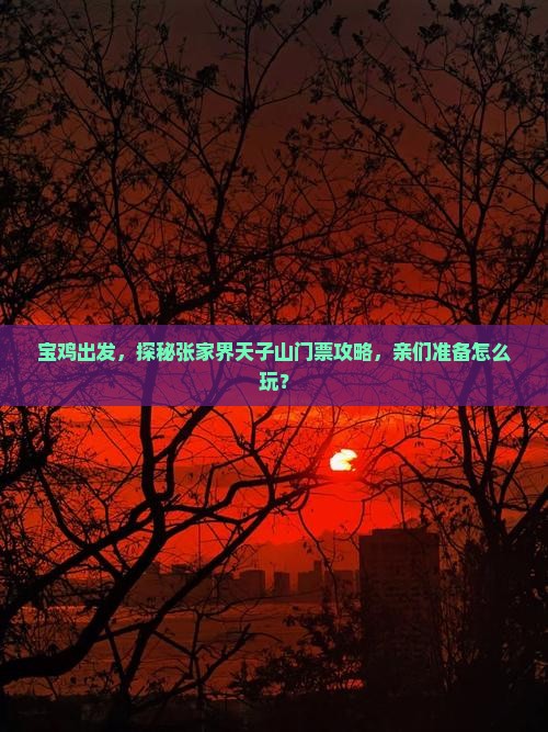 宝鸡到张家界天子山门票
