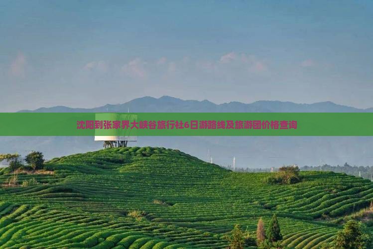 沈阳到张家界大峡谷旅行社