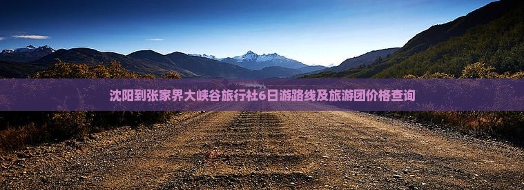 沈阳到张家界大峡谷旅行社