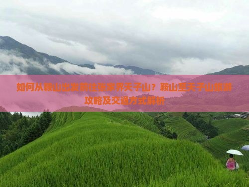 鞍山去张家界天子山景点