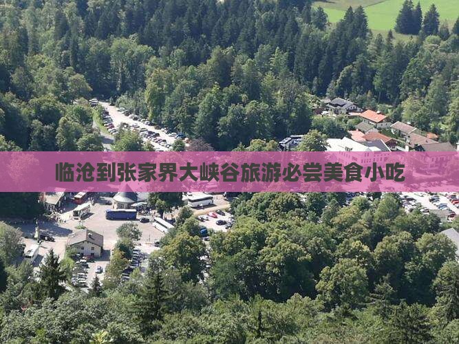 临沧到张家界大峡谷旅游小吃