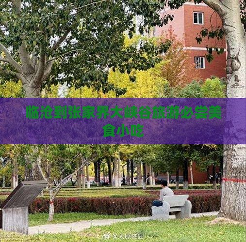 临沧到张家界大峡谷旅游小吃