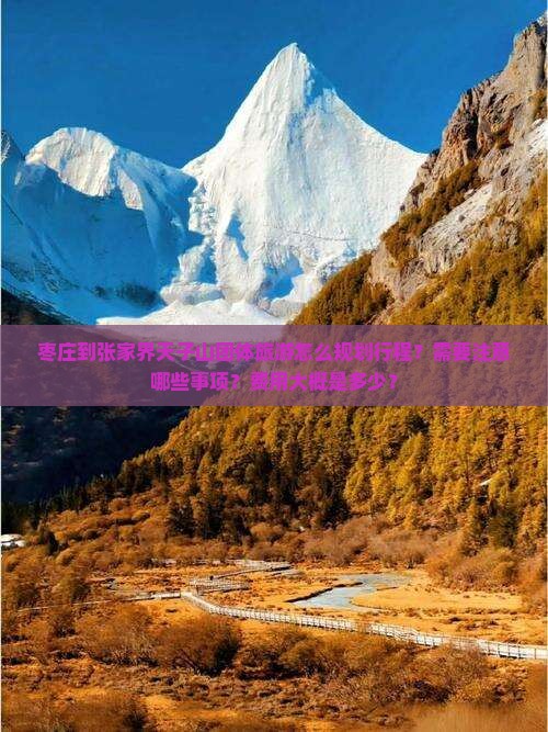 枣庄到张家界天子山团体旅游