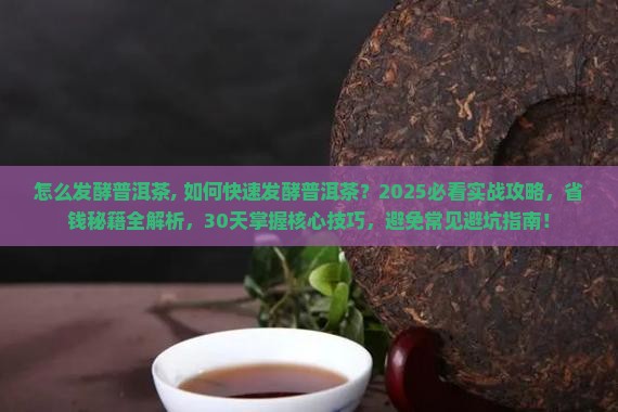 怎么发酵普洱茶