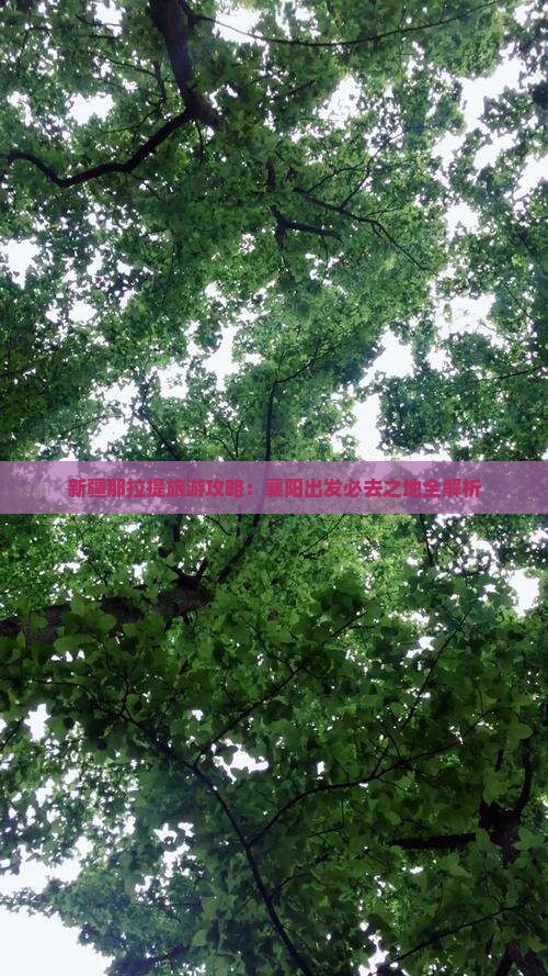 新疆那拉提旅游攻略：襄阳出发必去之地全解析