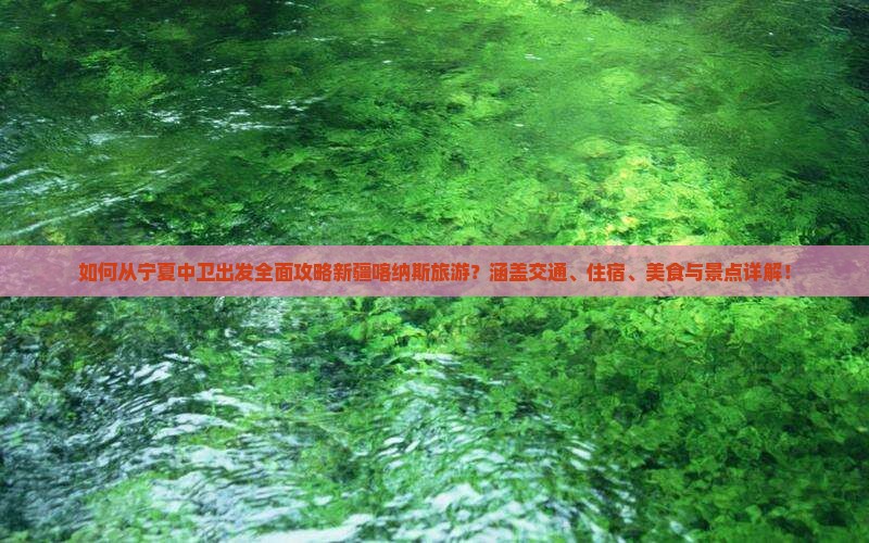 如何从宁夏中卫出发全面攻略新疆喀纳斯旅游？涵盖交通、住宿、美食与景点详解！