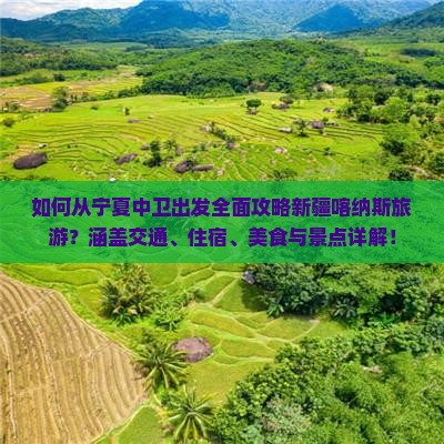 如何从宁夏中卫出发全面攻略新疆喀纳斯旅游？涵盖交通、住宿、美食与景点详解！