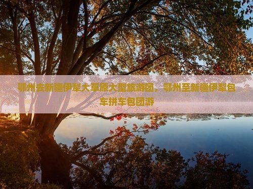 鄂州去新疆伊犁大草原大型旅游团，鄂州至新疆伊犁包车拼车包团游