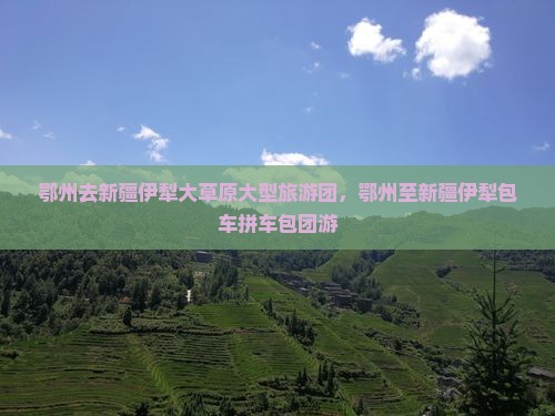 鄂州去新疆伊犁大草原大型旅游团，鄂州至新疆伊犁包车拼车包团游