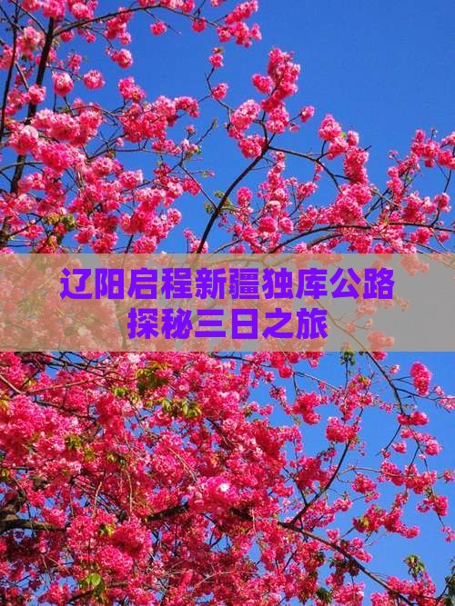 辽阳启程新疆独库公路探秘三日之旅