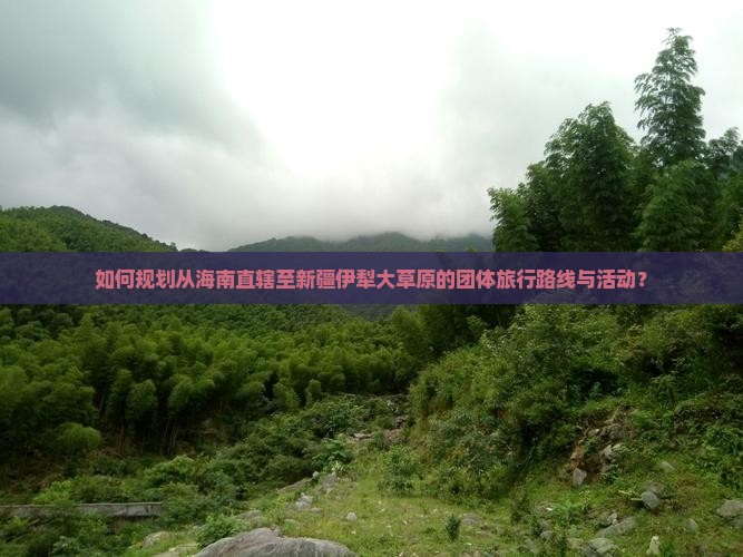 如何规划从海南直辖至新疆伊犁大草原的团体旅行路线与活动？