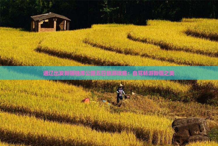通辽出发新疆独库公路五日旅游攻略：自驾畅游新疆之美