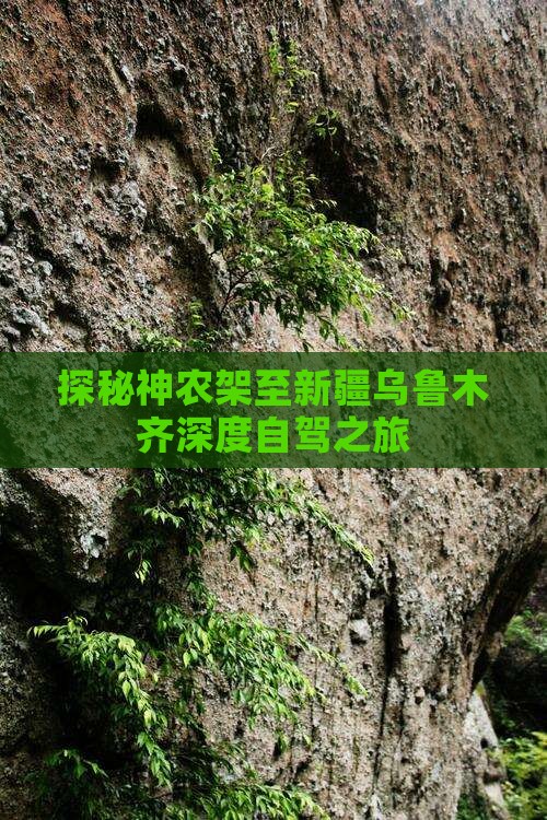 探秘神农架至新疆乌鲁木齐深度自驾之旅