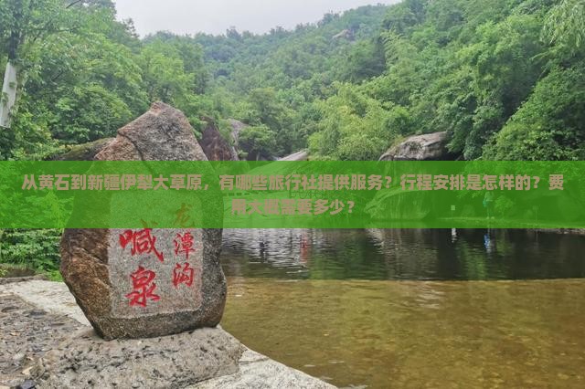 从黄石到新疆伊犁大草原，有哪些旅行社提供服务？行程安排是怎样的？费用大概需要多少？