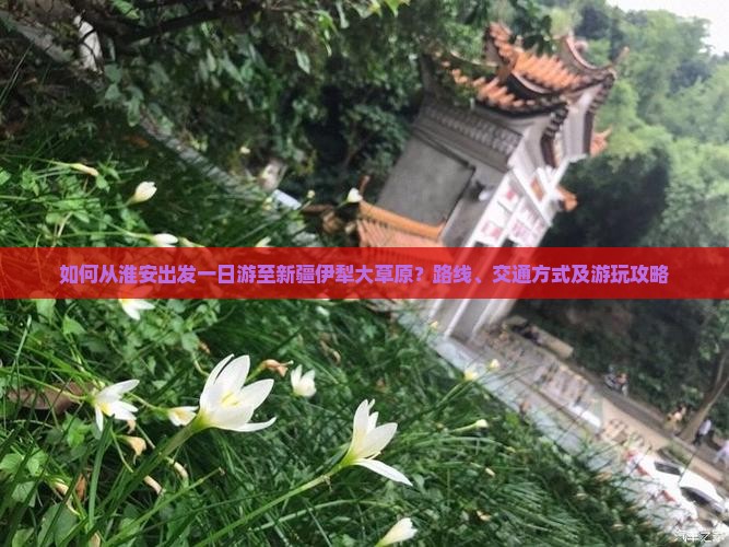 如何从淮安出发一日游至新疆伊犁大草原？路线、交通方式及游玩攻略