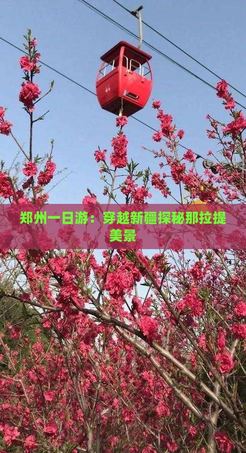 郑州一日游：穿越新疆探秘那拉提美景