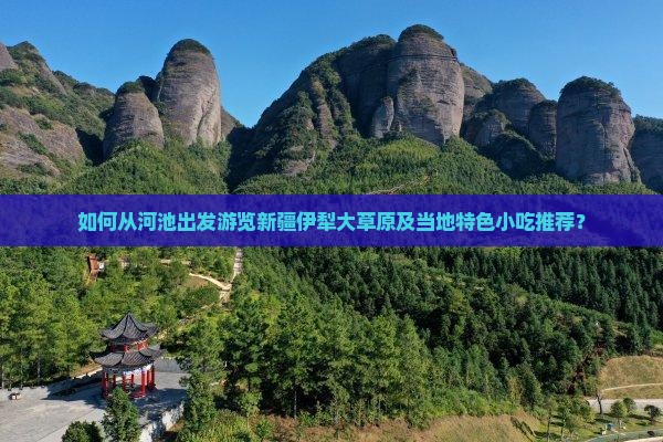 如何从河池出发游览新疆伊犁大草原及当地特色小吃推荐？